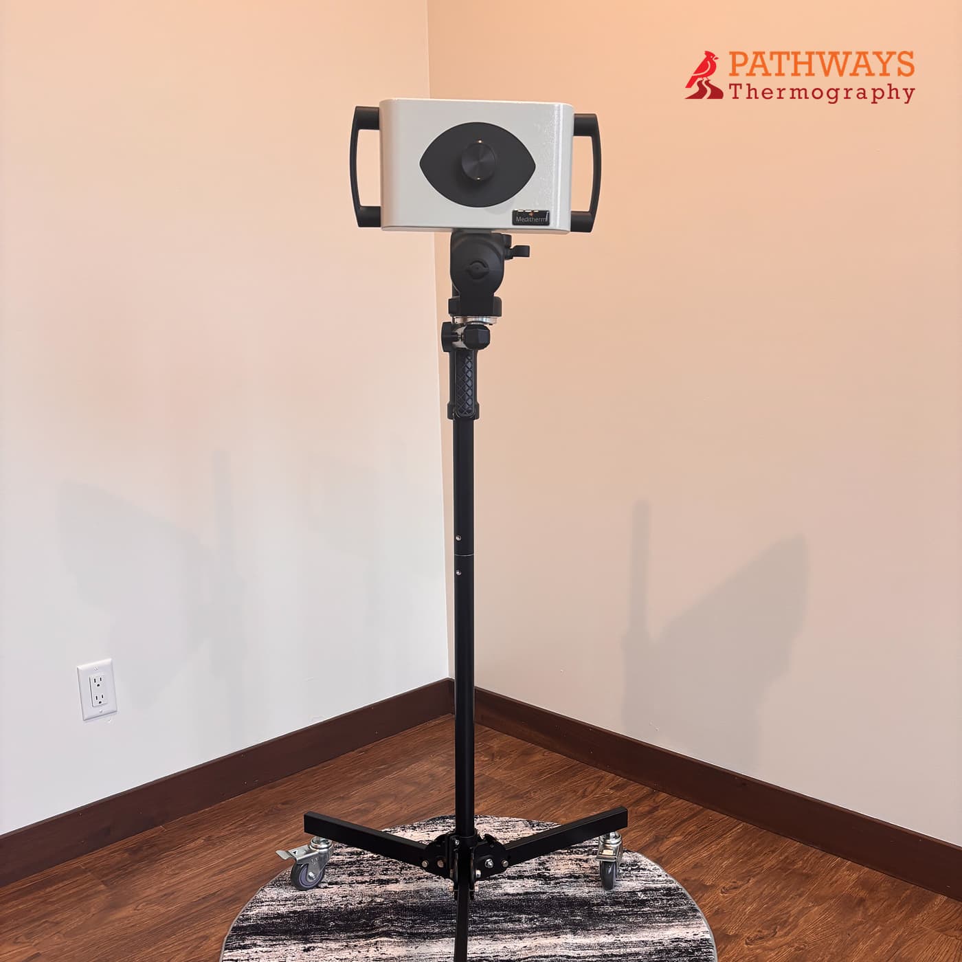 Detailed thermography analysis